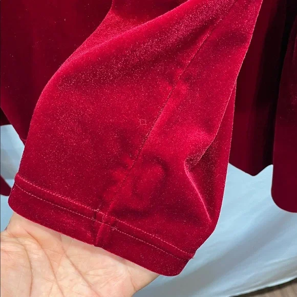 Torn by Ronny Kobo Crimson Velvet Blouse - Picture 11 of 13